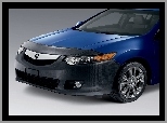 Acura TSX, Skóra, Przód, Ochrona