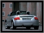 Audi TT, Srebrne