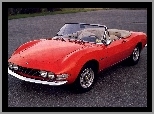 Spider, Fiat Dino