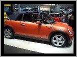 Genewa, Mini Cabrio, Salon