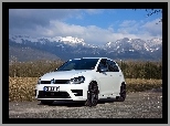 VW, Golf 7