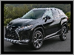 Lexus RX, 2021