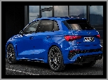 Audi RS 3 Sportback Performance Edition